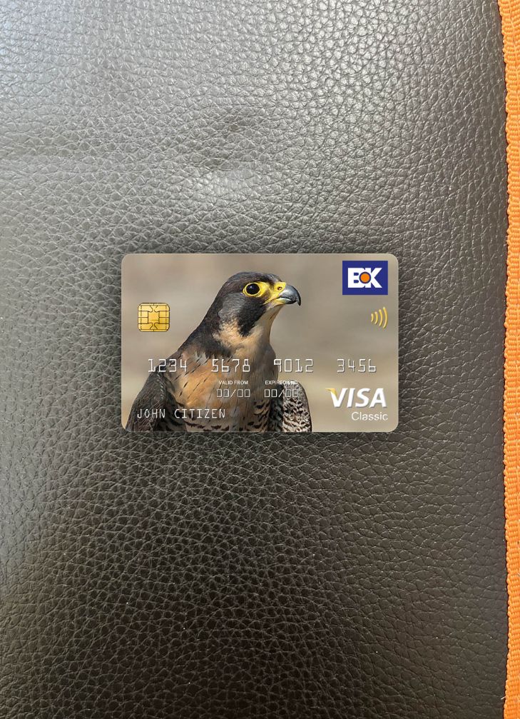 Download Pakistan The Bank of Khyber bank visa classic card photolook front Photoshop template